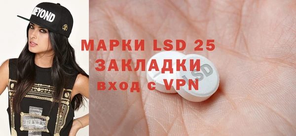 прущие грибы Алзамай