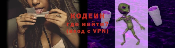 прущие грибы Алзамай