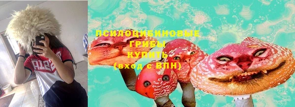 эйфоретик Алексин