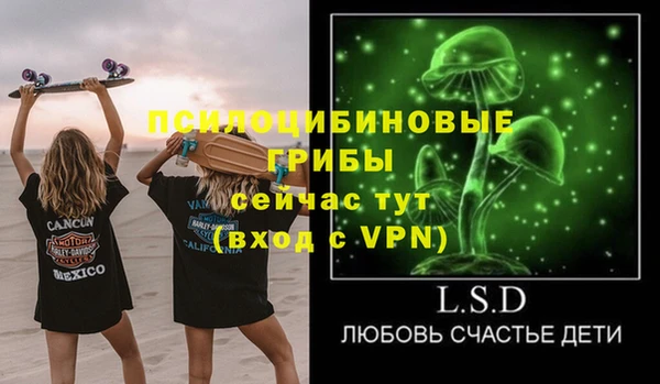 прущие грибы Алзамай
