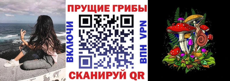 Галлюциногенные грибы прущие грибы  цены   Нарьян-Мар 