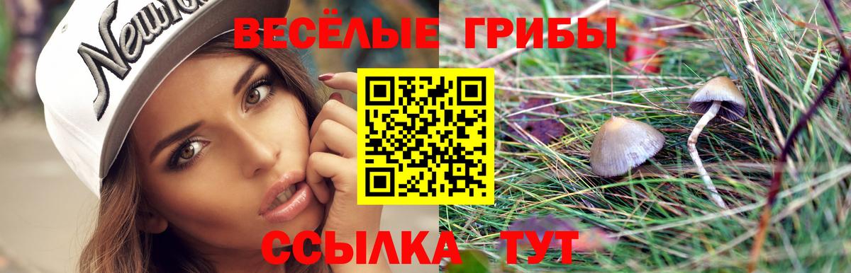 Псилоцибиновые грибы GOLDEN TEACHER  Вход с VPN  Нарьян-Мар  где продают наркотики  Псилоцибиновые грибы Psilocybe 